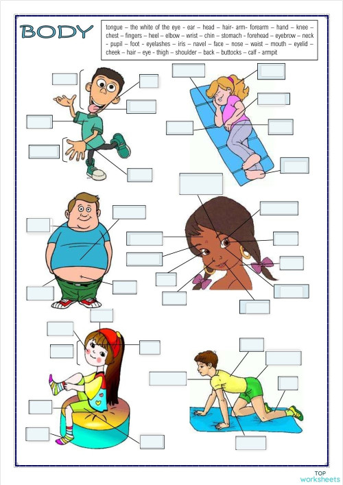 Body_ several pictures. Interactive worksheet | TopWorksheets