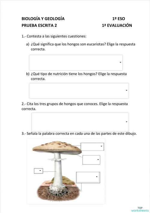 REINO HONGOS, PROTOCTISTAS Y BACTERIAS. Ficha interactiva | TopWorksheets