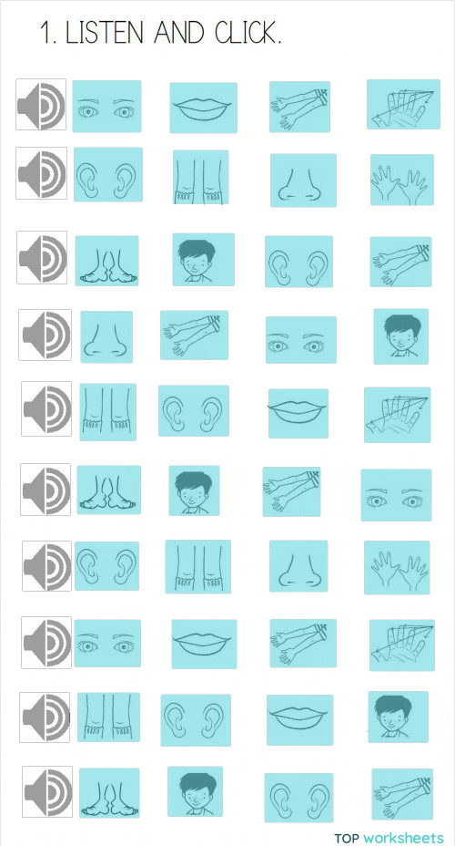 English 1- Unit 2 - Body. Interactive worksheet | TopWorksheets