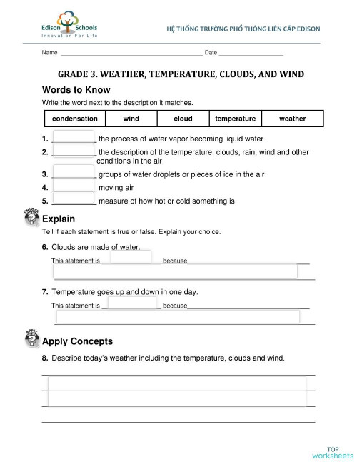 Grade 3. The Weather. Interactive worksheet TopWorksheets