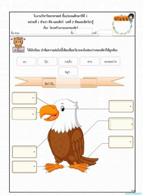 Tongpim pim's public page | TopWorksheets