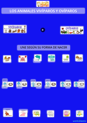 animales-viv-paros-y-ov-paros-ficha-interactiva-topworksheets