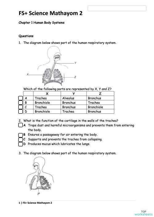 fs science m2 chapter 1 human body systems interactive worksheet topworksheets