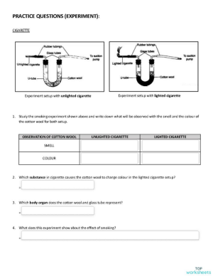 natural science interactive worksheets and online exercises topworksheets