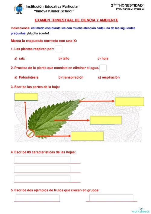 EXAMEN FINAL DE CIENCIA Y AMBIENTE. Ficha interactiva | TopWorksheets