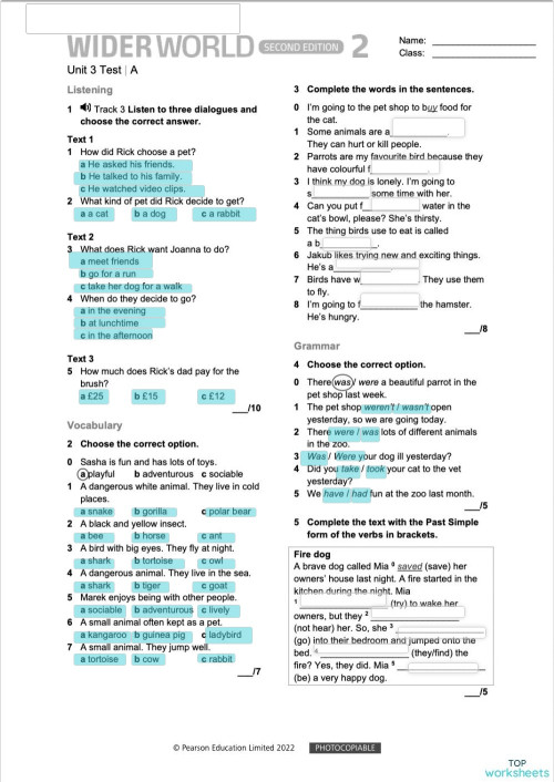 WIDER WORLD 2 test 3A. Interactive worksheet | TopWorksheets