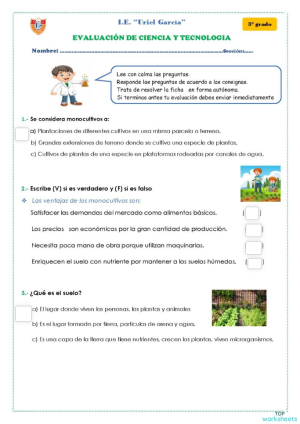 EVA Ciencia y Tecnología. Ficha interactiva | TopWorksheets