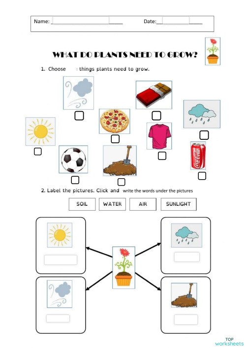 natural science interactive worksheets and online exercises topworksheets