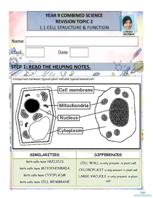 REVISION CELL PART 2. Interactive worksheet | TopWorksheets