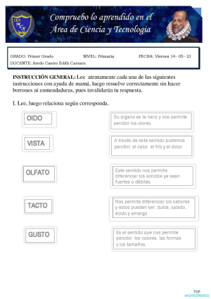 Evaluación de Ciencia y Tecnología. Ficha interactiva | TopWorksheets