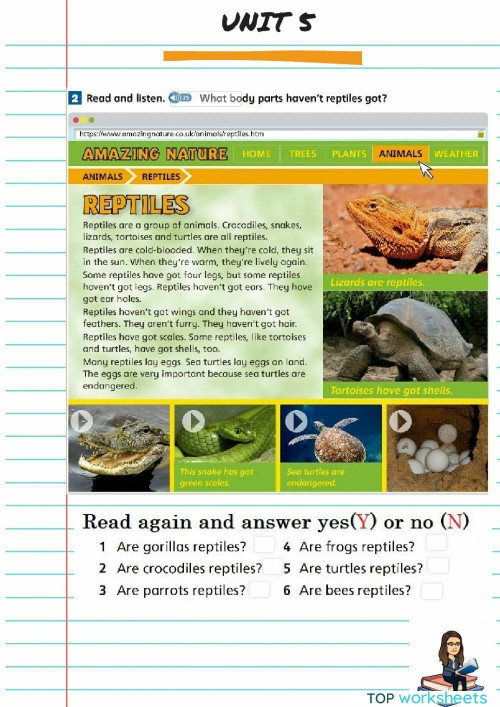 Reptiles. Interactive worksheet TopWorksheets