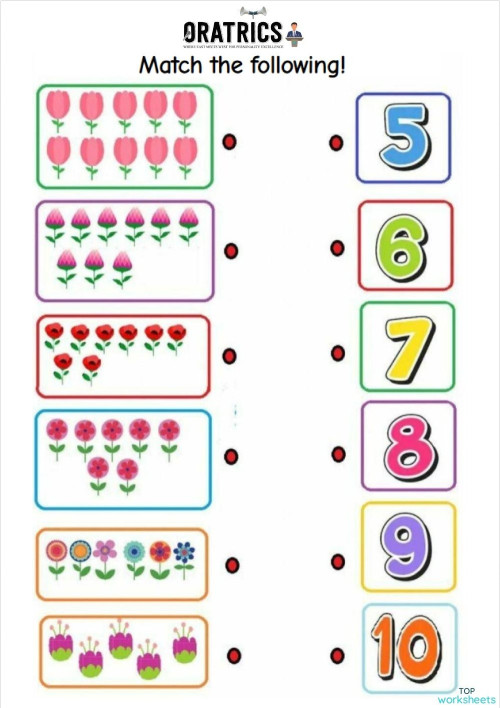 Match The Following Interactive Worksheet Topworksheets