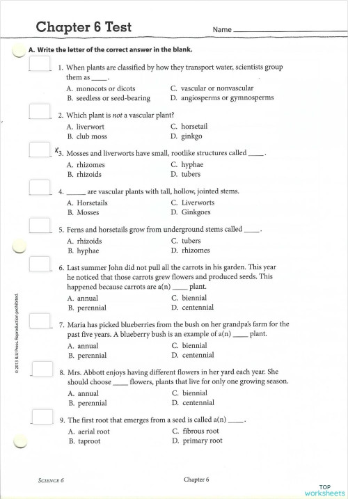 Chapter Tests: interactive worksheets and online exercises | TopWorksheets