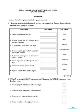 plant system part 1. Interactive worksheet | TopWorksheets