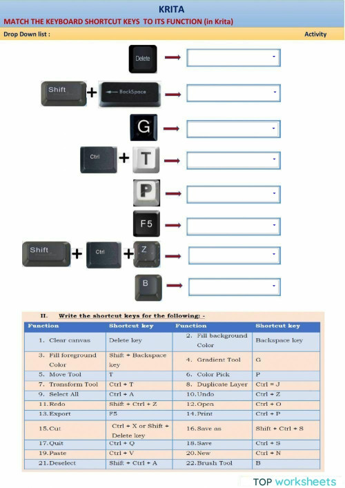 Krita shortcut keys. Interactive worksheet TopWorksheets