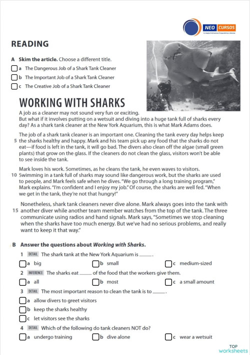 NEO CURSOS - TIME ZONES 3 - READING. Interactive worksheet | TopWorksheets