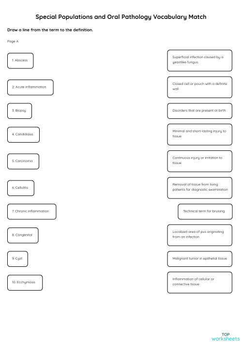 Special Populations and Oral Pathology Vocabulary Match. Interactive