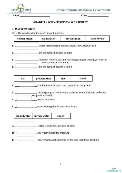 Grade 5. Review worksheet for mini test 3. Interactive worksheet ...