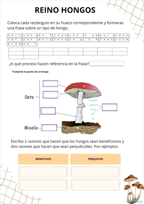 REINO HONGOS: fichas interactivas y ejercicios online | TopWorksheets