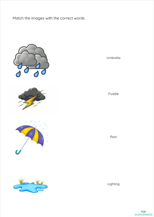 Match the Images. Interactive worksheet | TopWorksheets