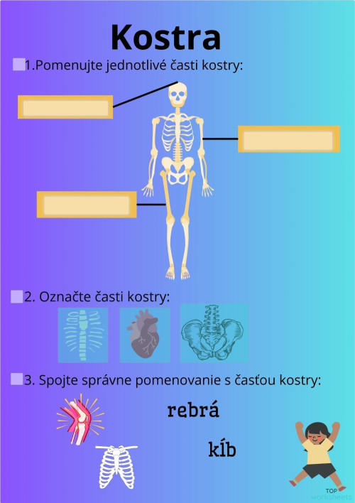 Kosti interactive worksheets and online exercises TopWorksheets