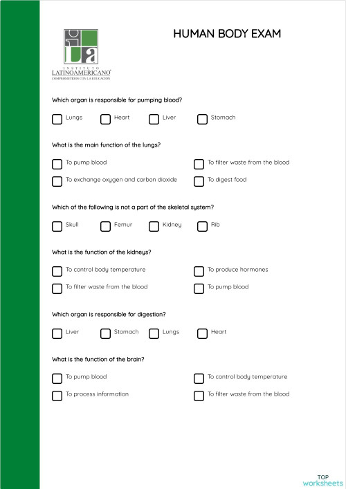 HUMAN BODY EXAM. Interactive worksheet TopWorksheets