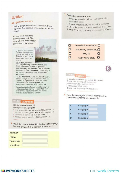 Writing: An opinion Essay. Interactive worksheet | TopWorksheets