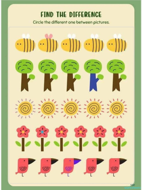 FIND THE DIFFERENCE. Interactive worksheet | TopWorksheets
