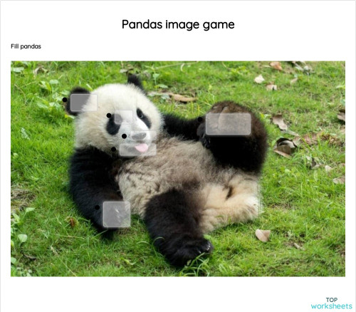 Pandas image game. Interactive worksheet | TopWorksheets