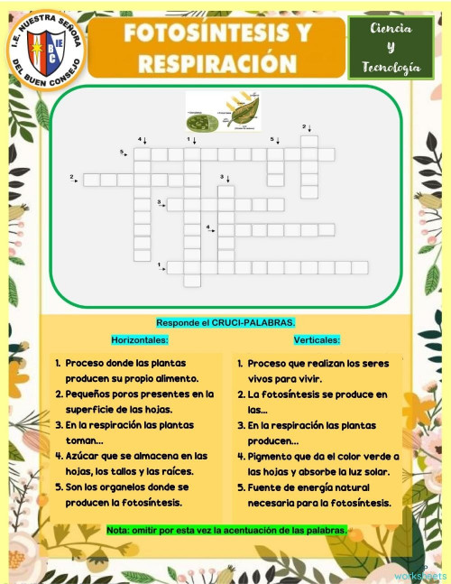 LA FOTOSÍNTESIS. Ficha interactiva | TopWorksheets