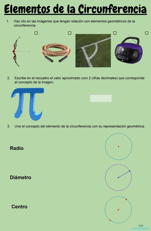 Guía Elementos De Una Circunferencia Ficha Interactiva Topworksheets