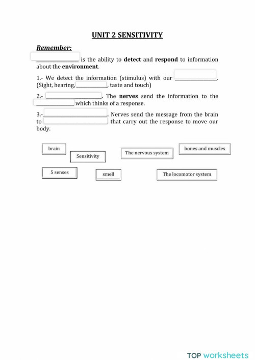 Interaction Interactive Worksheet TopWorksheets Interaction Interactive Worksheet TopWorksheets