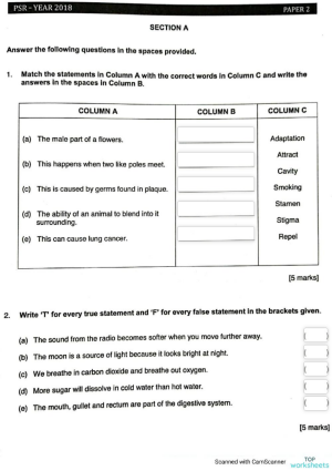interactive worksheets and online exercises in brunei topworksheets