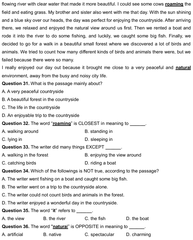 READING MULTIPLE CHOICE 26. Interactive worksheet | TopWorksheets