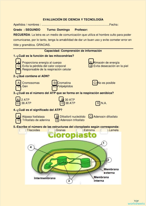 Evaluacion de ciencia y tecnologia. Ficha interactiva | TopWorksheets