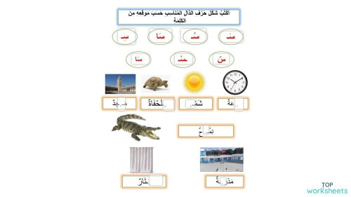 تمارين س ص ز. ورقة عمل تفاعلية | TopWorksheets