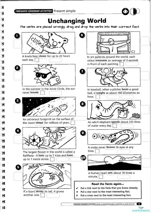 REVIEW TENSES: Present &Past Simple and Continuous. Interactive ...
