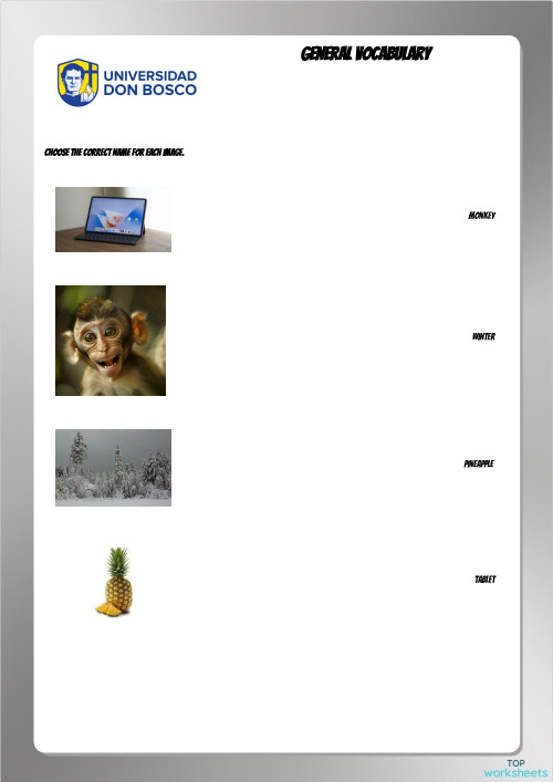 General vocabulary. Interactive worksheet | TopWorksheets