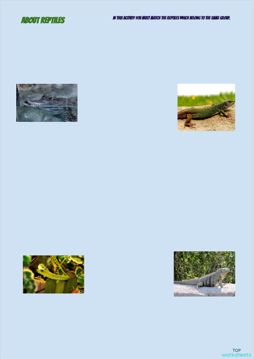 Matching repitles. Interactive worksheet | TopWorksheets