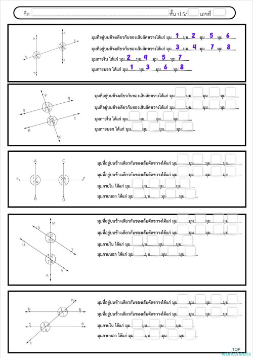 เส้นตัดขวาง ใบงานเชิงโต้ตอบ | TopWorksheets