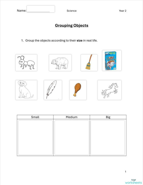 Grouping Objects By Size. Interactive worksheet | TopWorksheets