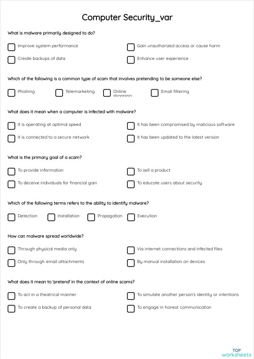 Computer Security_var. Interactive worksheet | TopWorksheets