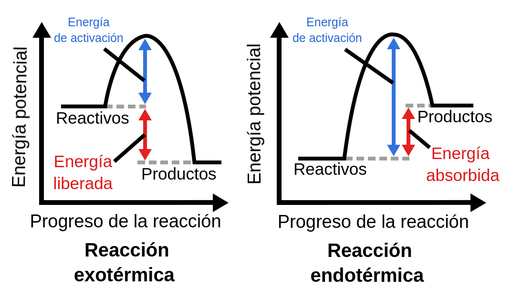 Reacciones Exot rmicas Y Endot rmicas Ficha Interactiva TopWorksheets reacciones-exot-rmicas-y-endot-rmicas-ficha-interactiva-topworksheets