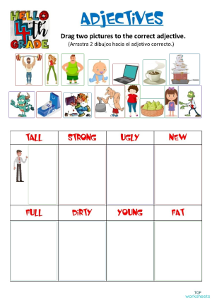 Adjectives: interactive worksheets and online exercises | TopWorksheets