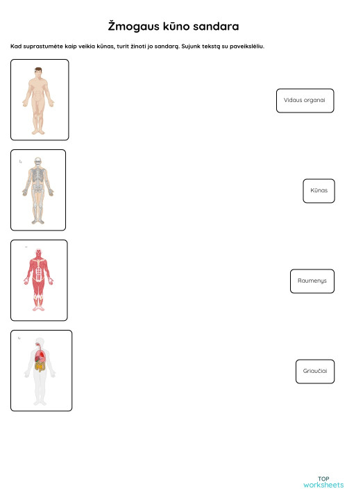 Rasa Antanaitienė's public page | TopWorksheets