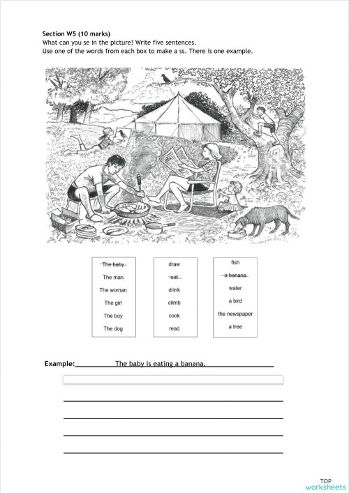 Preliminary- W5 practice. Interactive worksheet | TopWorksheets