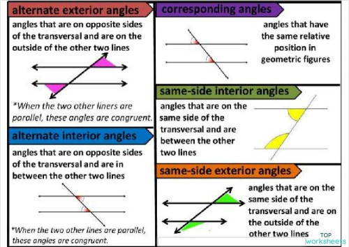 SPECIAL SUBJECT MATHS RESOURCE. Interactive worksheet | TopWorksheets