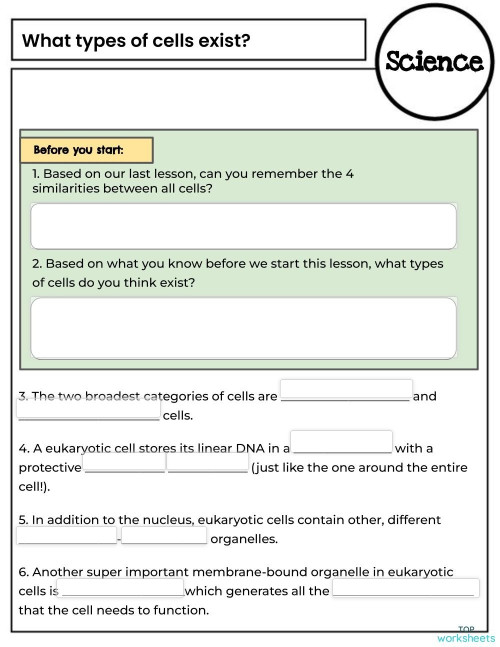 What types of cells exist Guided Notes. Interactive worksheet