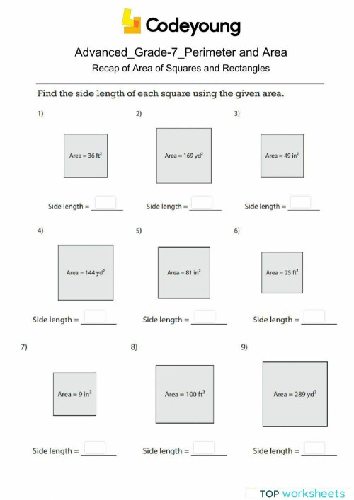 Recap of Area of Squares and Rectangles Advanced. Interactive worksheet