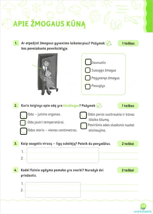 2 klasė: interactive worksheets and online exercises | TopWorksheets